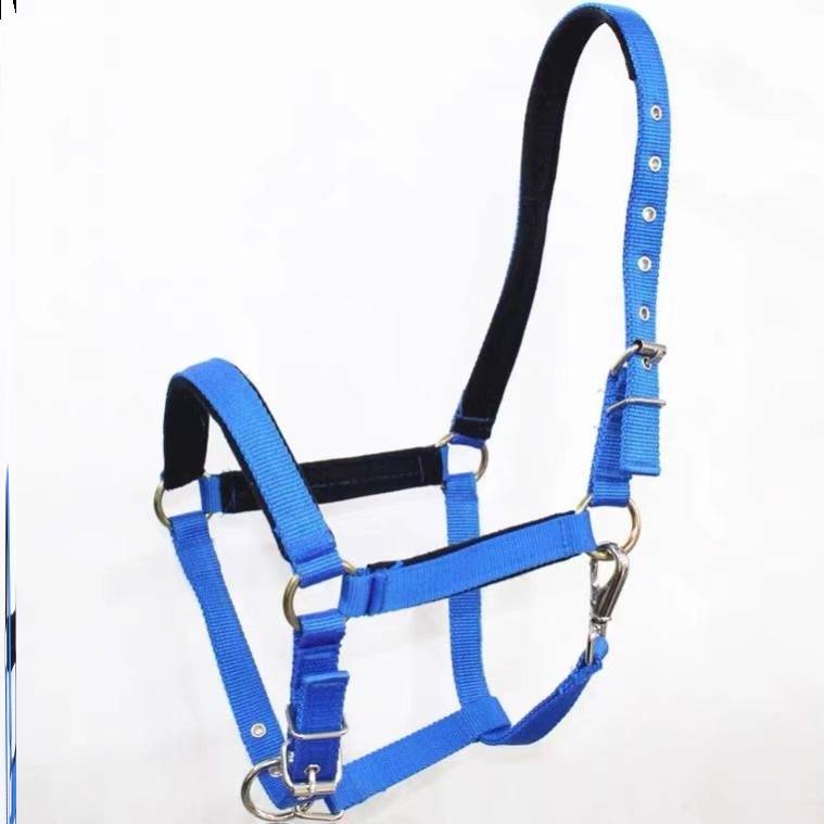S88-M MEGA-SIZED (A HORSE ABOVE 1 M55) GRINDING TAP BLUE